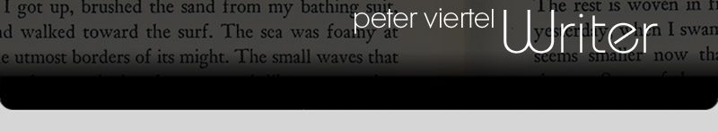 Peter Viertel Writer