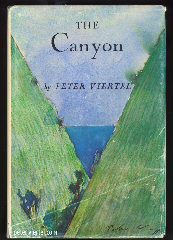 The Canyon by Peter Viertel - Cover